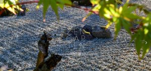 Neue Fotos auf unserer Zengarten-Website