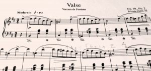 Walzer h-moll (op. post. 69,2)