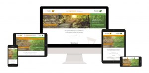 Logo, Website und Printdesign für Marion Kaiser Coaching und Akademie