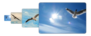 Bilder .  Sagen mehr als tausend Worte