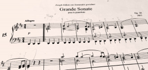 I. Satz aus Klaviersonate Nr. 15 (op. 28)